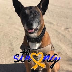 Meet your Posher, Kimberlee